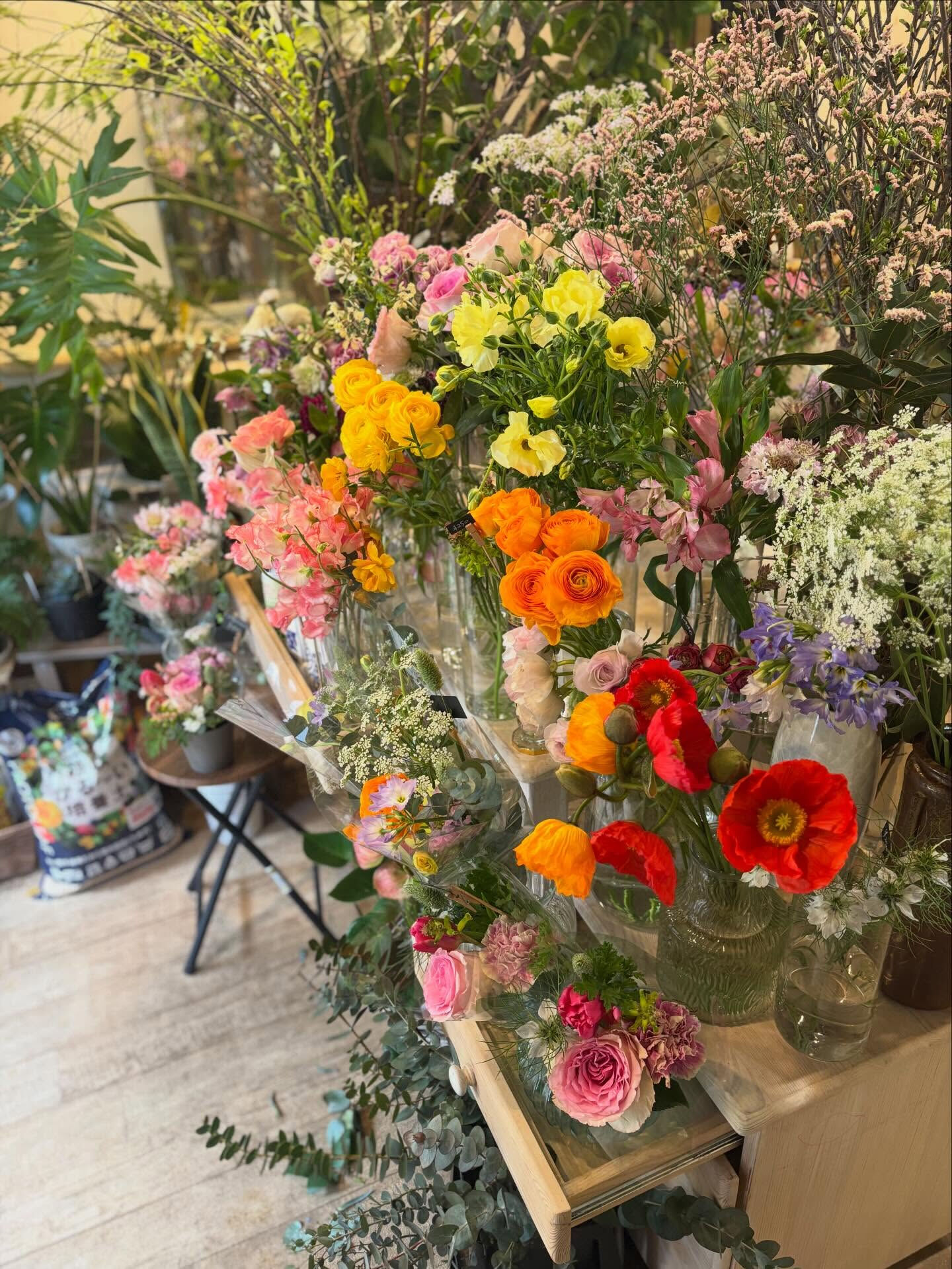 🌸 今週のおすすめのお花
