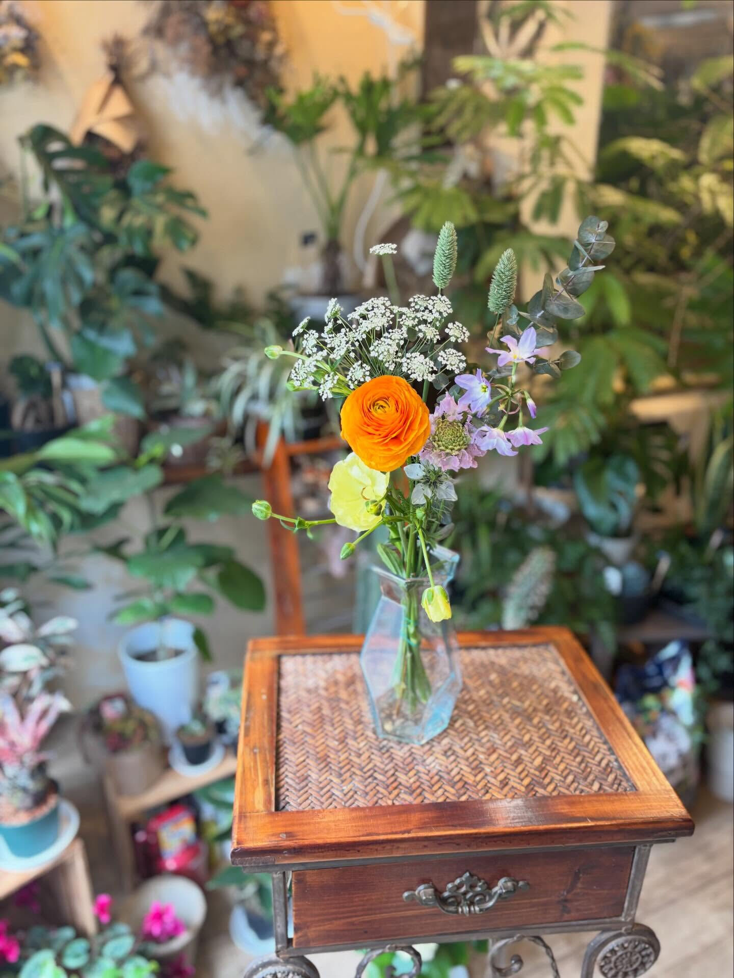 🌸 今週のおすすめのお花