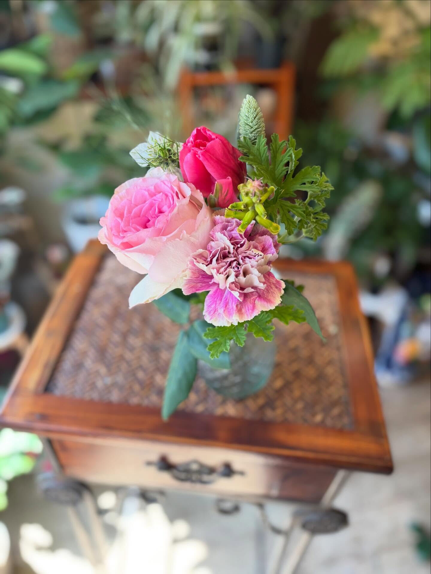 🌸 今週のおすすめのお花