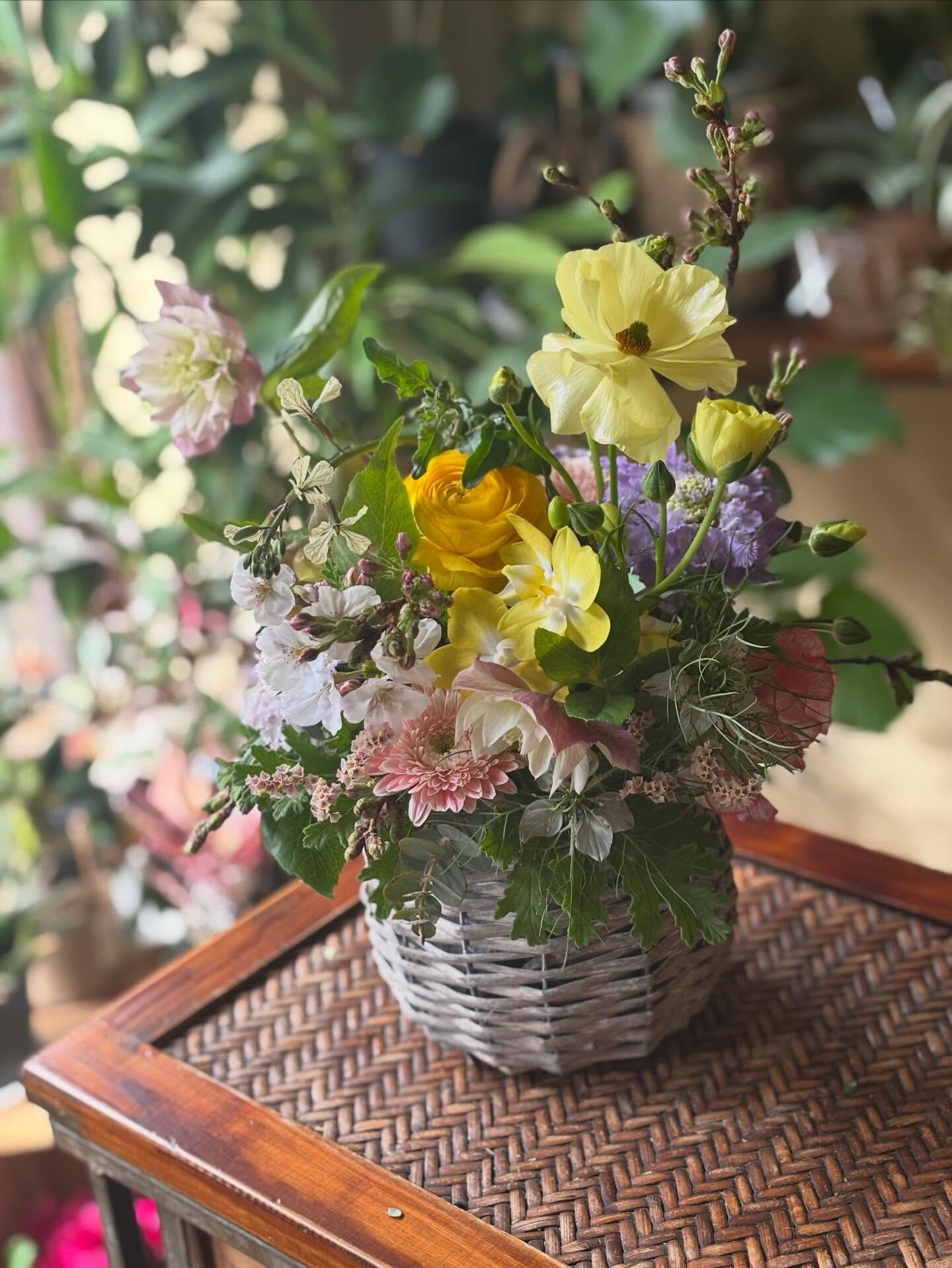 🌸 先週のご注文より