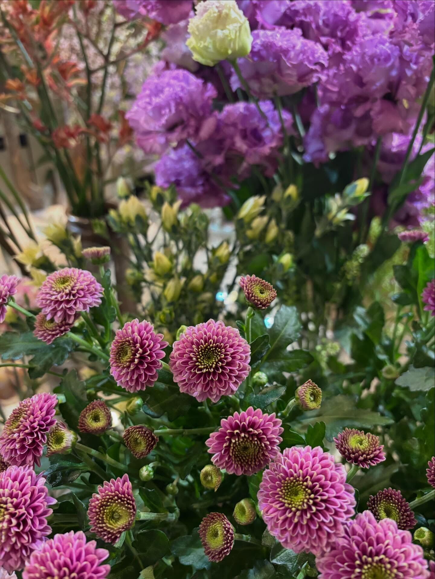 春のお花がゆっくりと季節の終わりに向かっていくこの頃、
