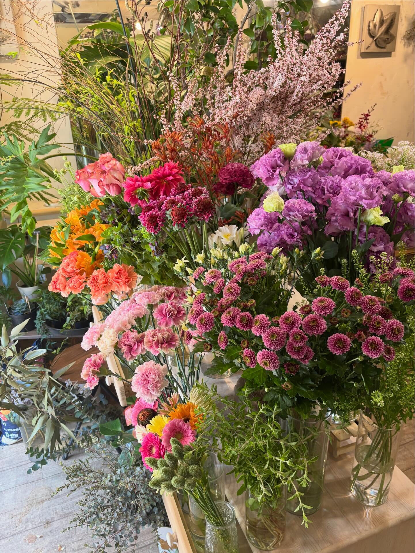 春のお花がゆっくりと季節の終わりに向かっていくこの頃、