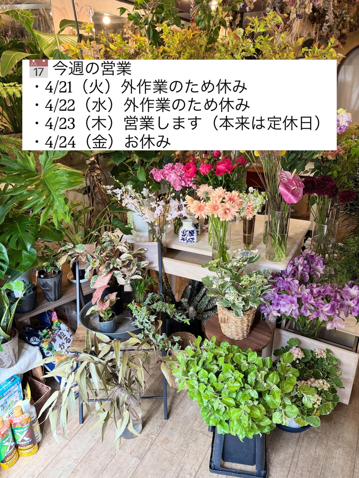 春の花がゆっくりと幕を閉じて、初夏の気配が少しずつ混ざり始め