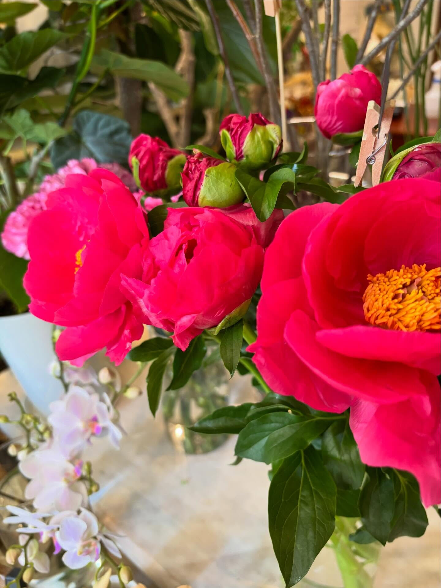 春の花がゆっくりと幕を閉じて、初夏の気配が少しずつ混ざり始め