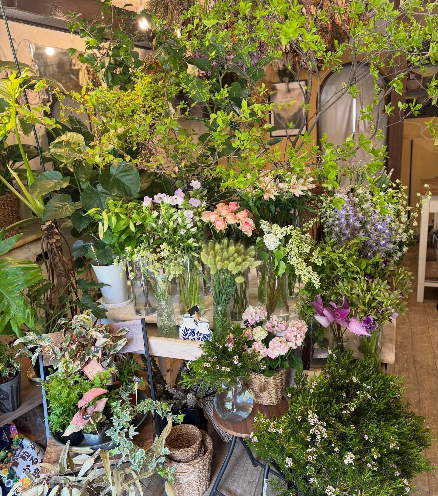 店内に春の風がふわっと広がるような入荷がありました