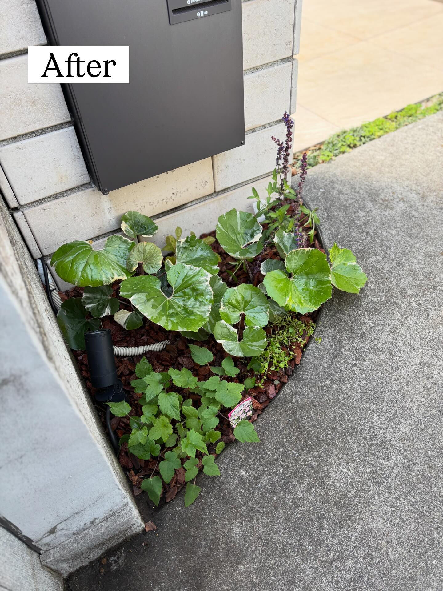 ◾️施工させていただいたお庭の紹介