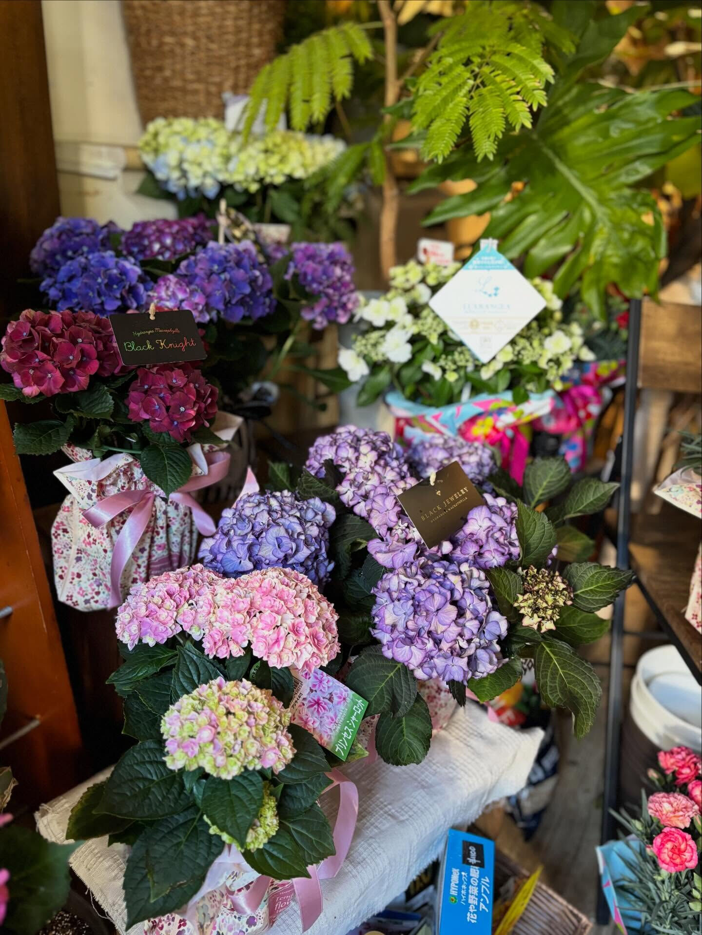 蓬田生花店です