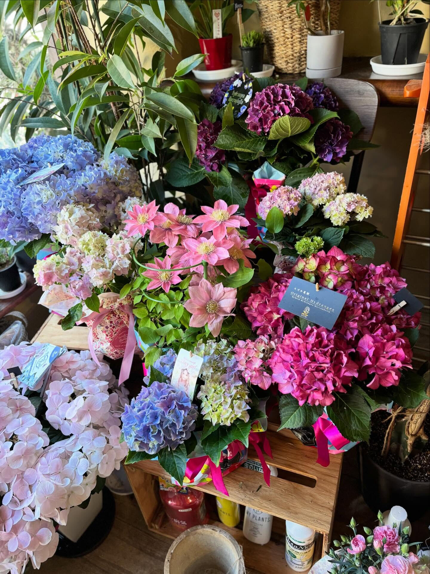 蓬田生花店です