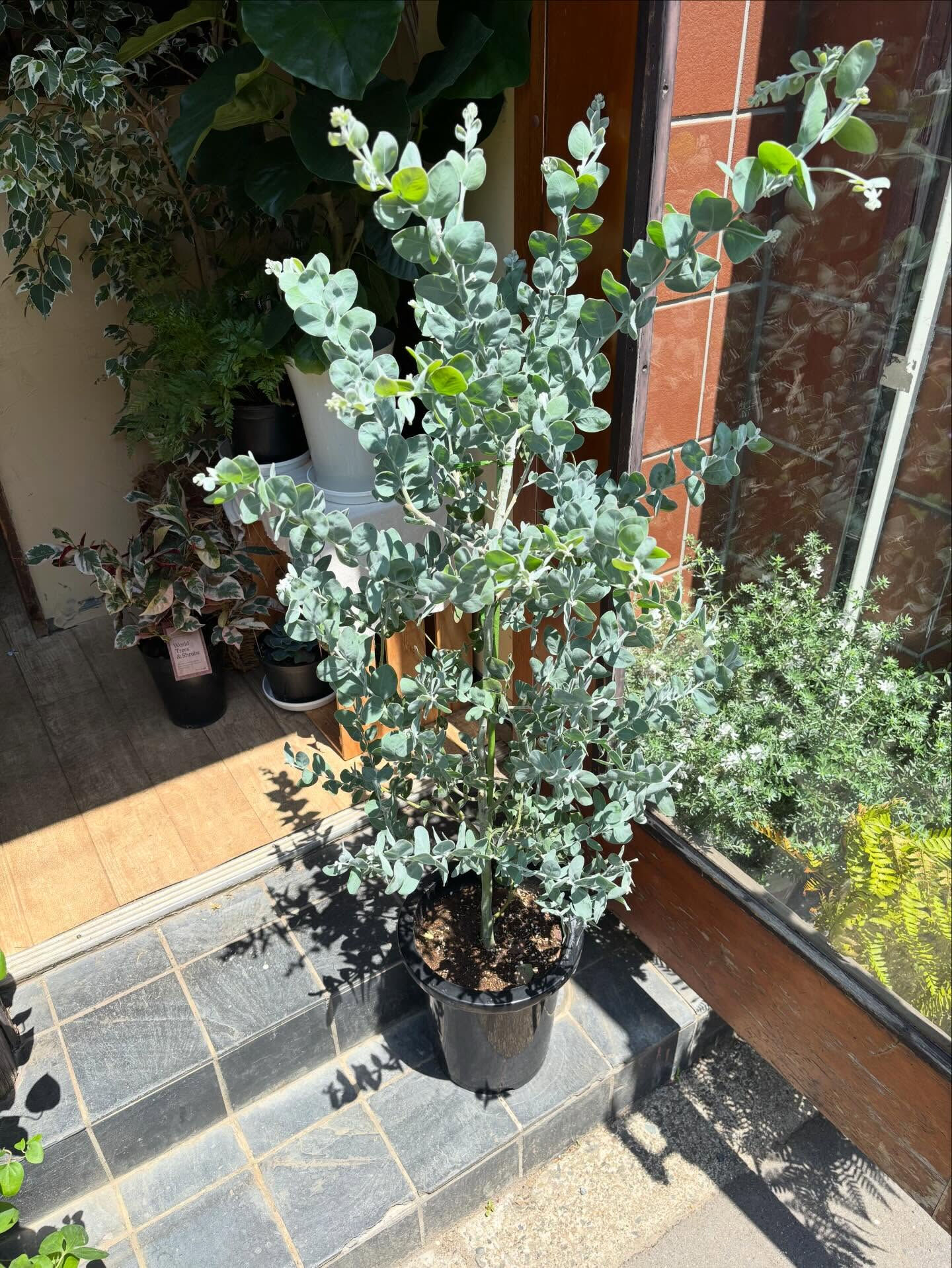 𓇢𓆸 入荷のお知らせ 𓆸𓇢