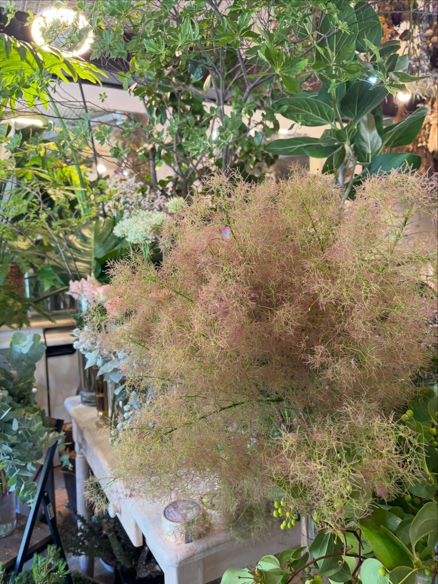 🌿 季節のワークショップのお知らせ
