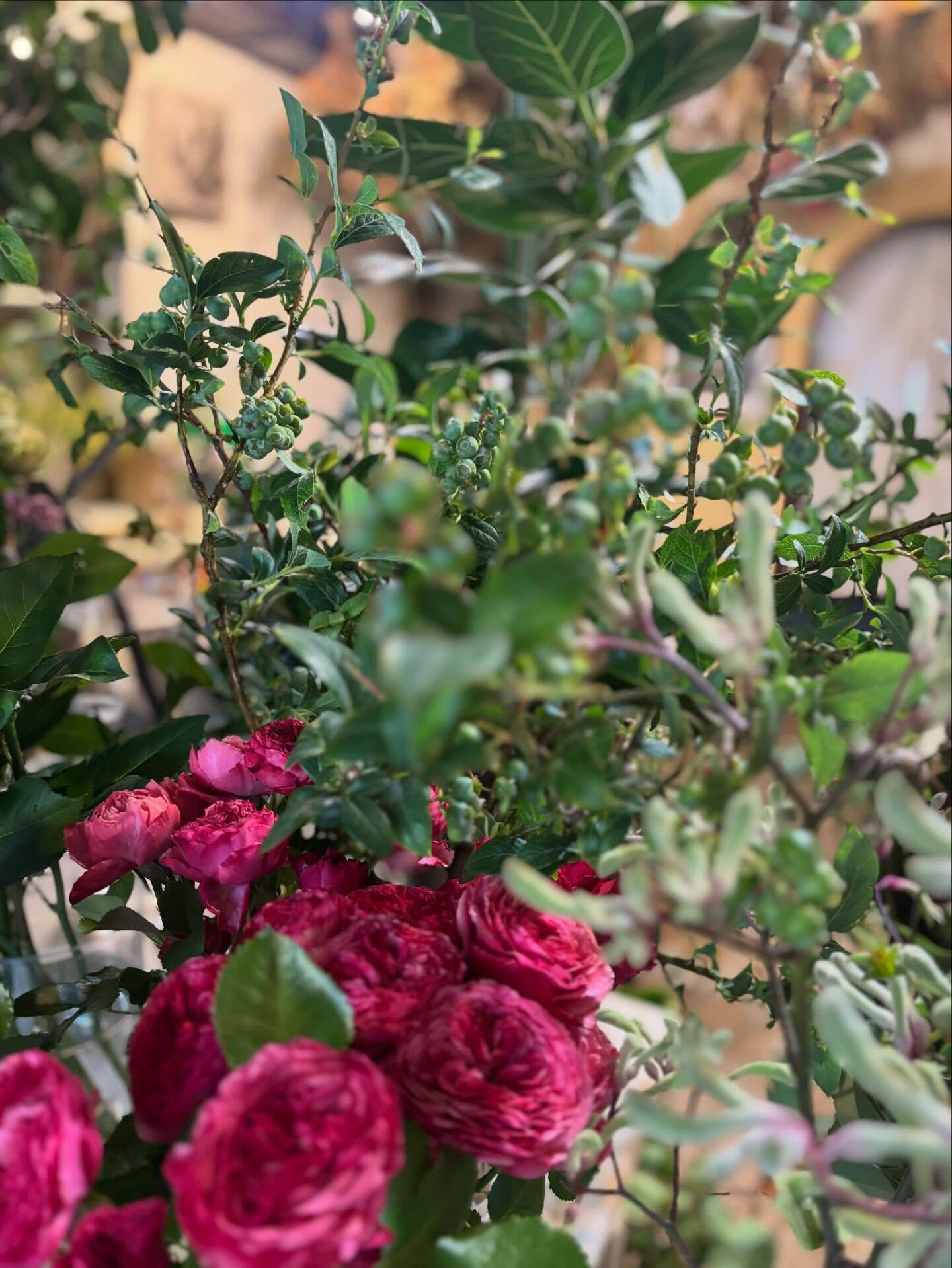 #今日の入荷