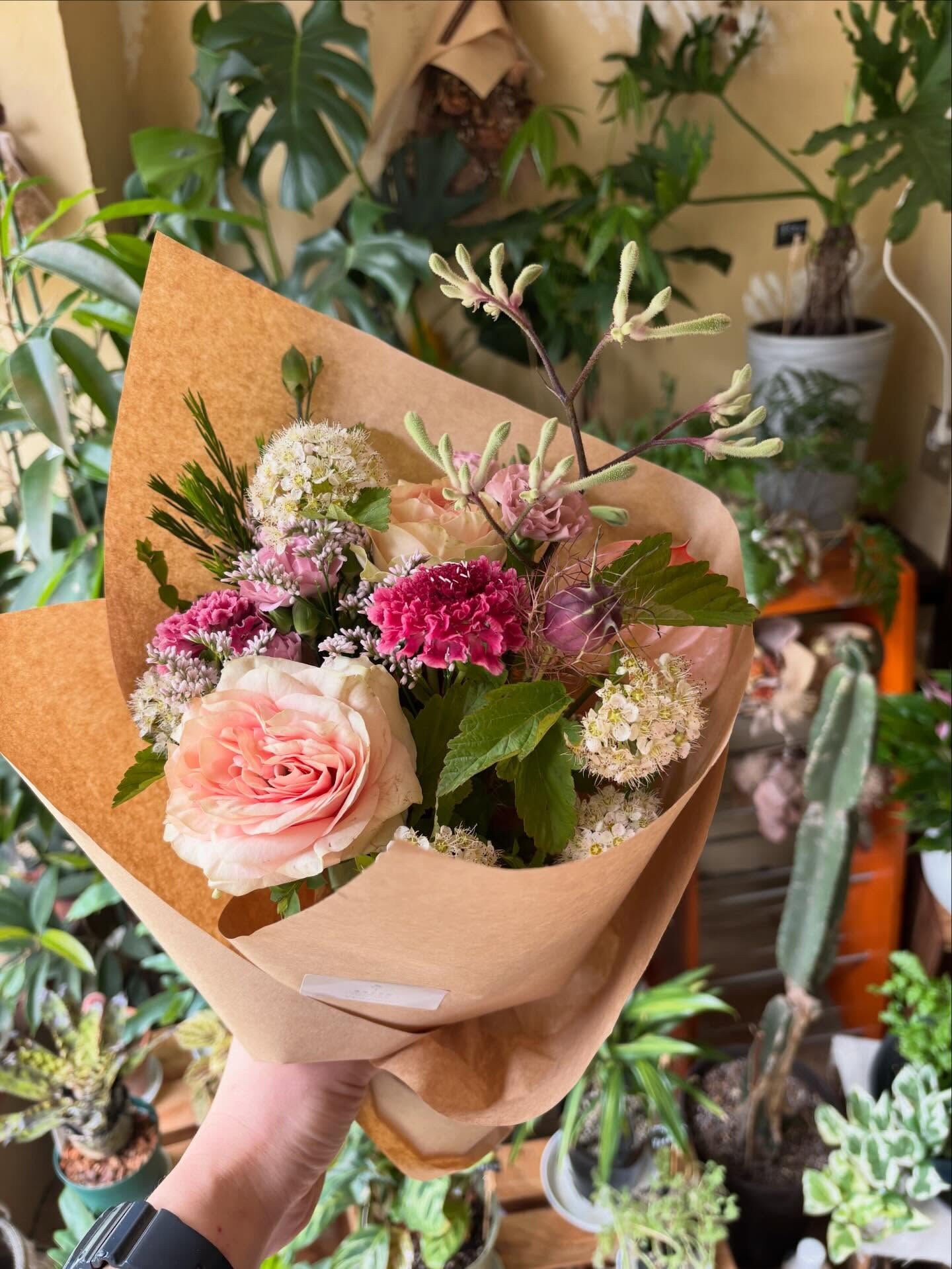 🌿 今週の入荷情報