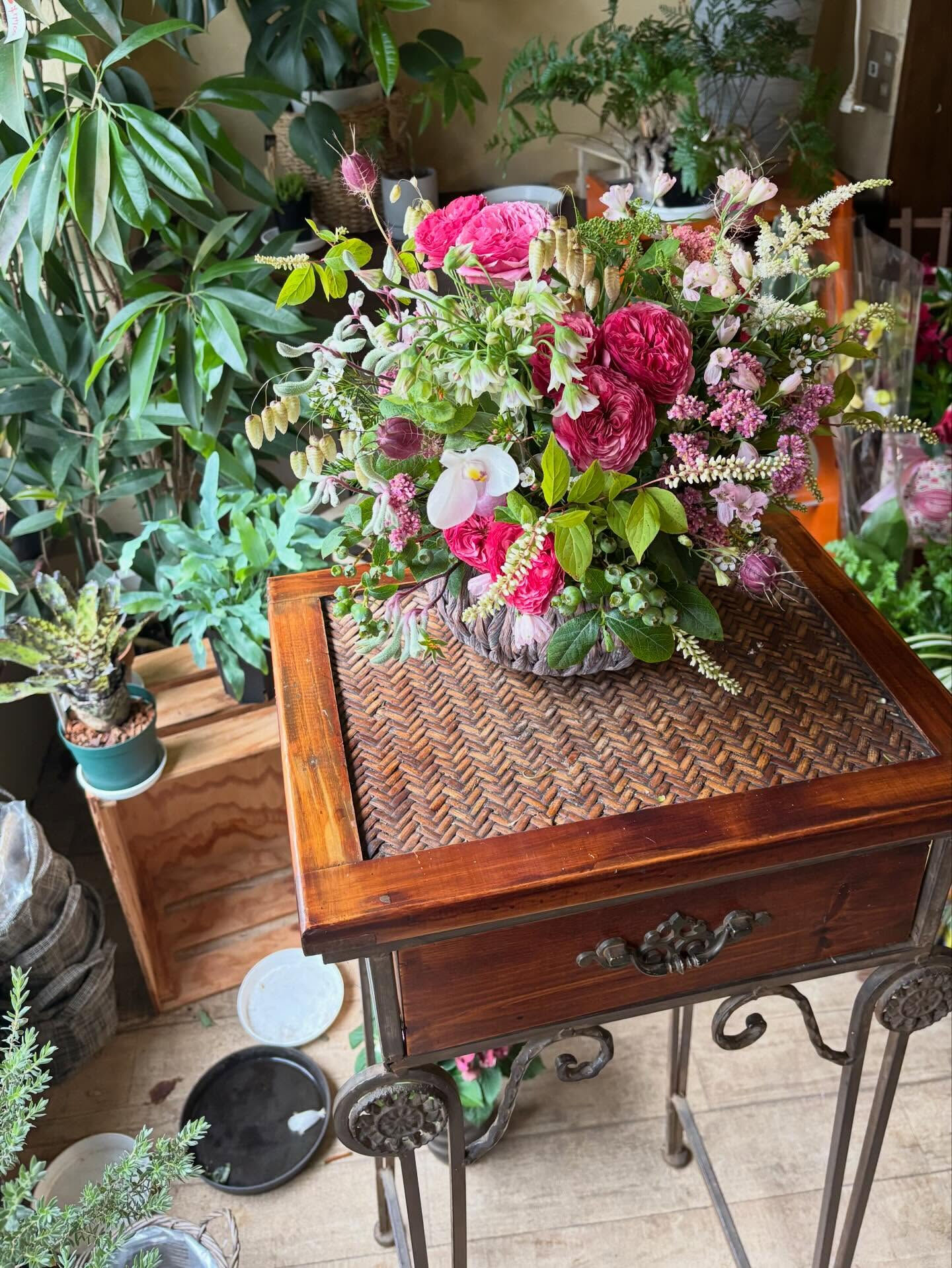 🌿 今週の入荷情報