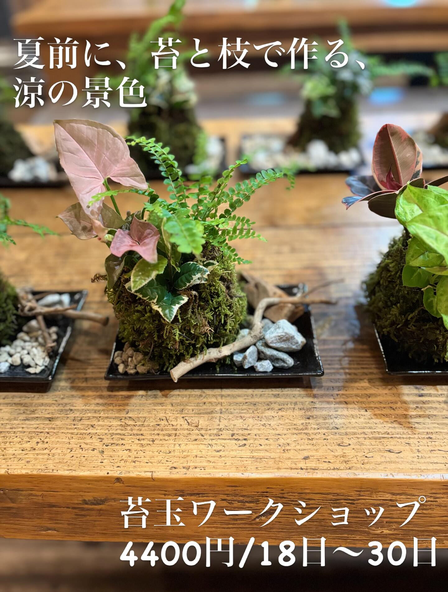 夏前に、苔と枝でつくる、涼の景色