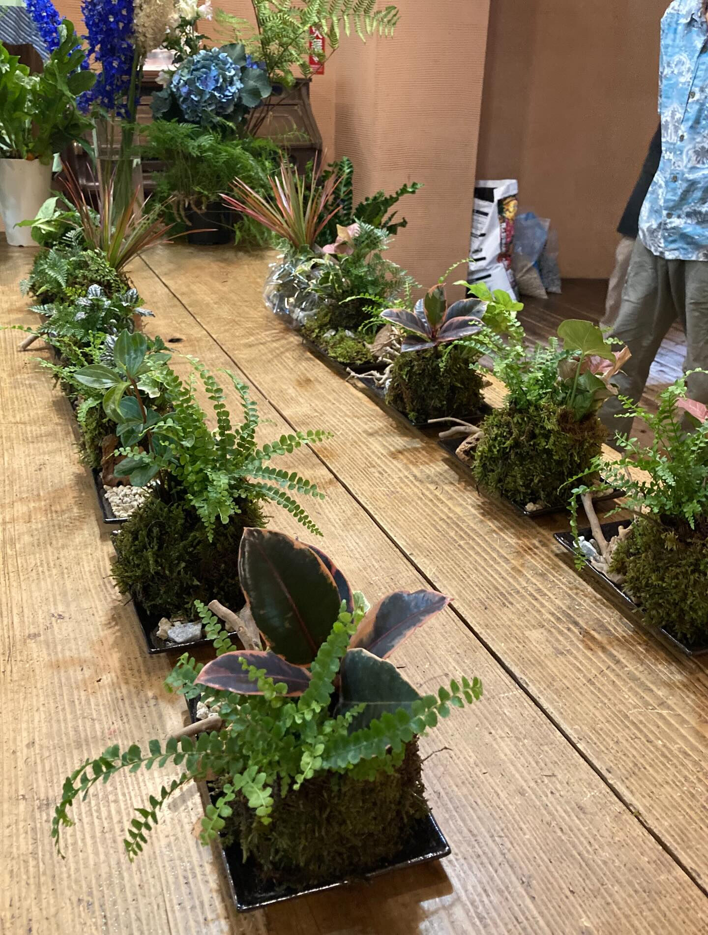 夏前に、苔と枝でつくる、涼の景色